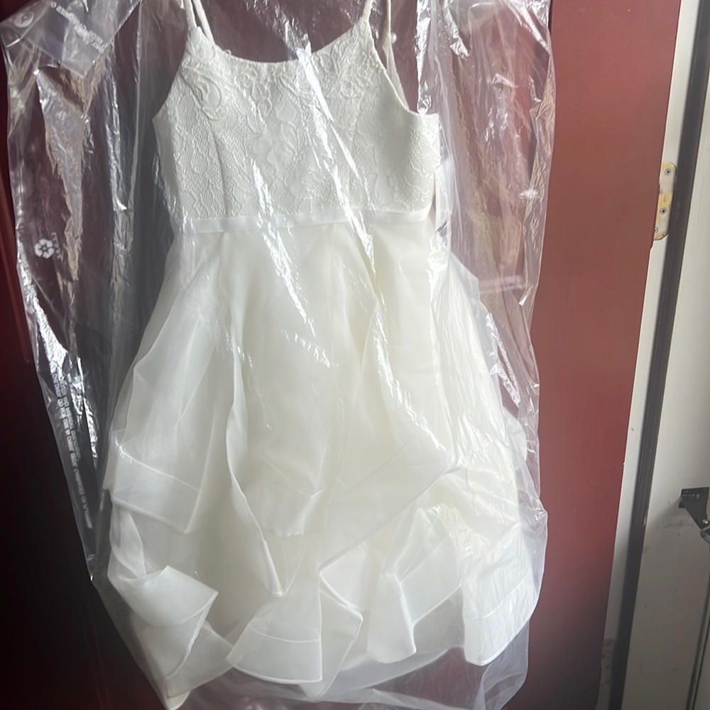 Beautiful flower girl dress size 4, ivory in color. Brand new never worn!